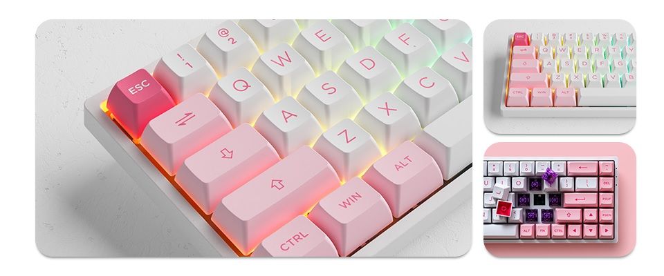 Buy Akko 3068B Plus Prunus Lannesiana RGB Wireless CS Jelly