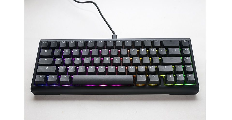 Ducky ProjectD Tinker 65 Cherry MX Blue Switch OEM Profile PBT Seamless Double-Shot Keycaps RGB LED Hot-Swappable Keyboard Feature 6