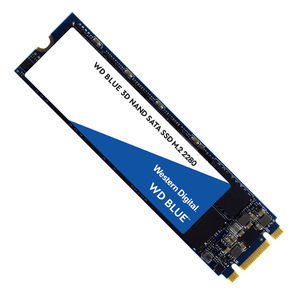 Buy Western Digital Blue M.2 SATA SSD 1TB [WDS100T2B0B] | PC Case