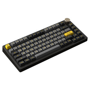 Buy Akko PC75B Plus Black/Gold Wireless RGB Hot-Swap Crystal