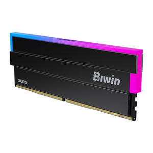 Buy Biwin Black Opal DW100 32GB (2x16GB) 6000Mhz CL30 DDR5 Black