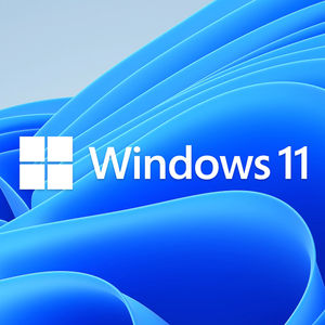 Buy Microsoft Windows 11 Home OEM DVD [KW9-00632] | PC Case Gear Australia